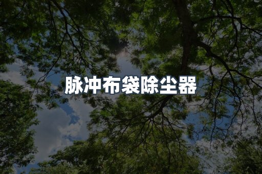 脉冲布袋除尘器
